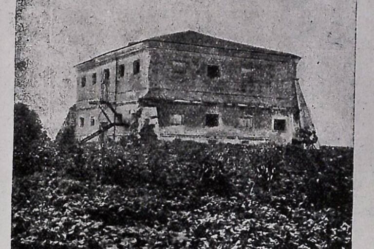 рогачев3