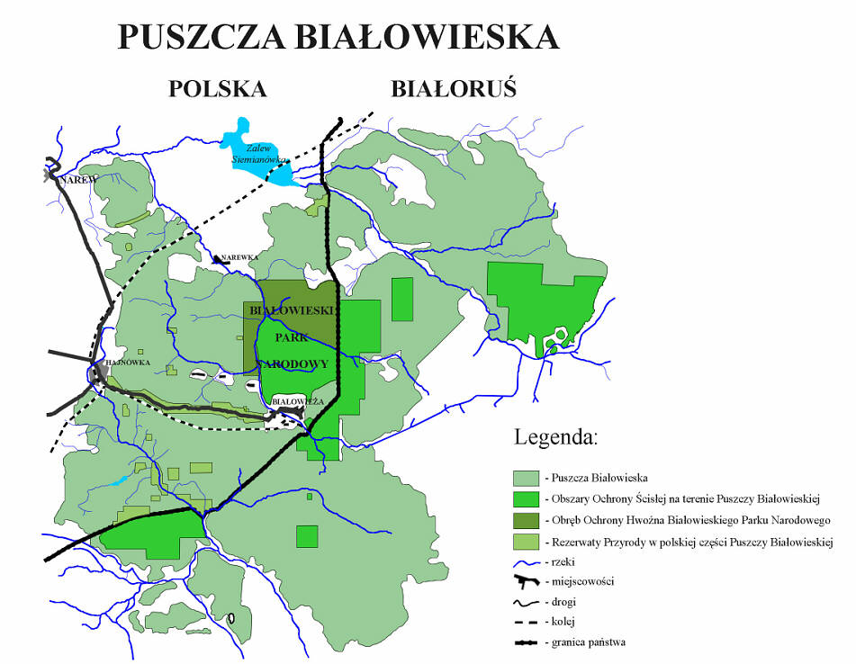 Карта беловежской пущи в белоруссии