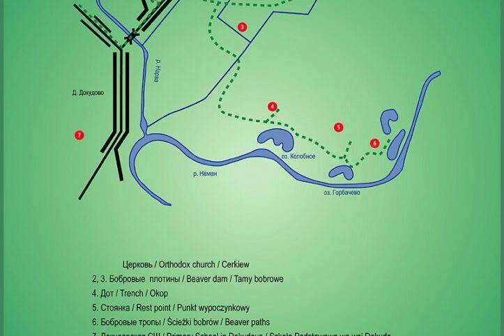 voda_neman_Dokudovo_greenways-723×1024